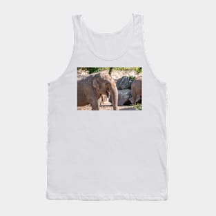 Close up of an Asian Elephant face Tank Top